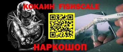 СК Дубна