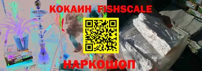 СК Дубна