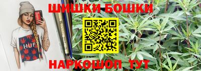 СК Дубна