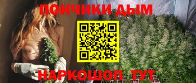 СК Дубна